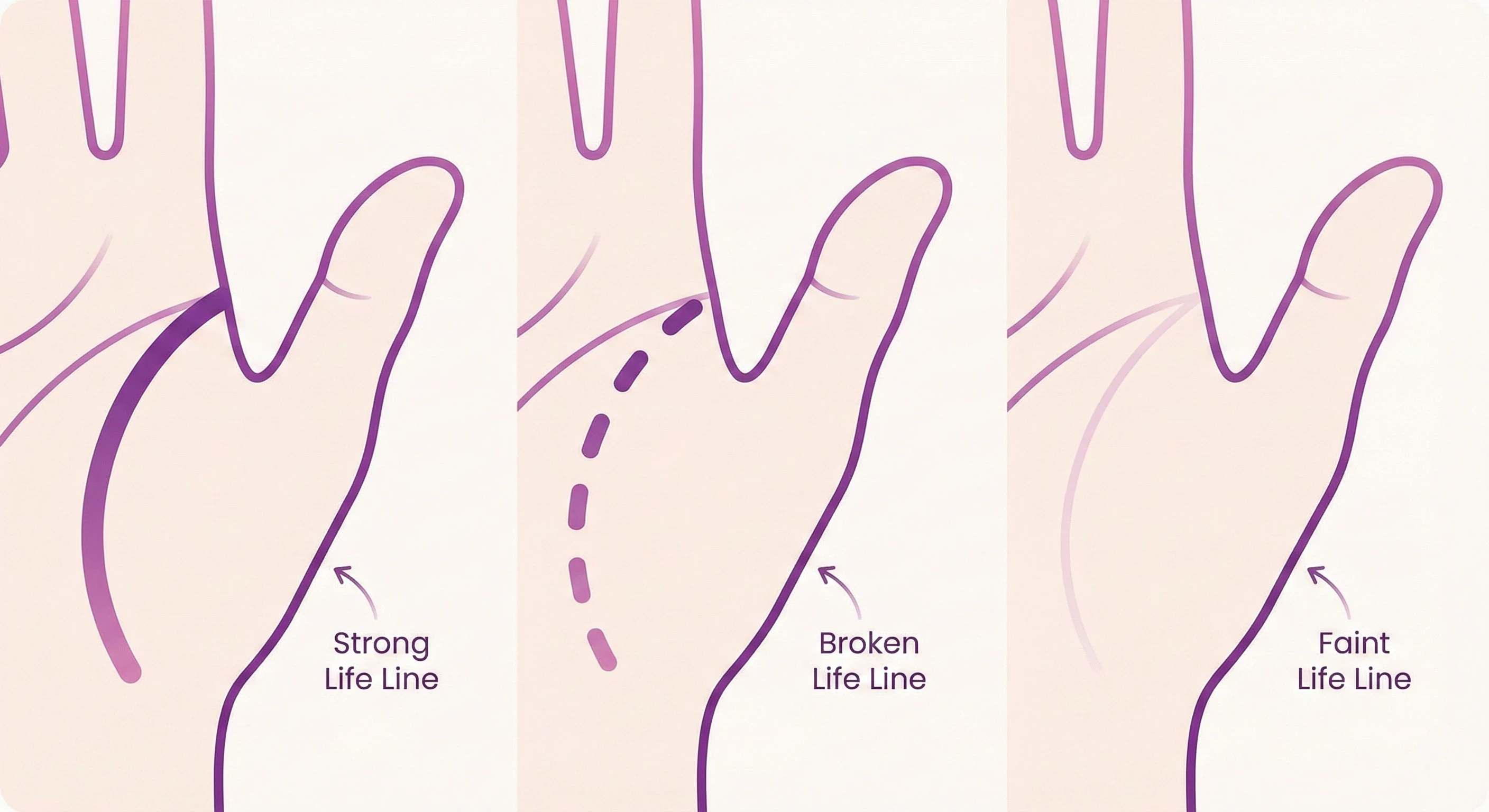 손바닥 위 7대 주요선을 색깔별로 표시한 다이어그램